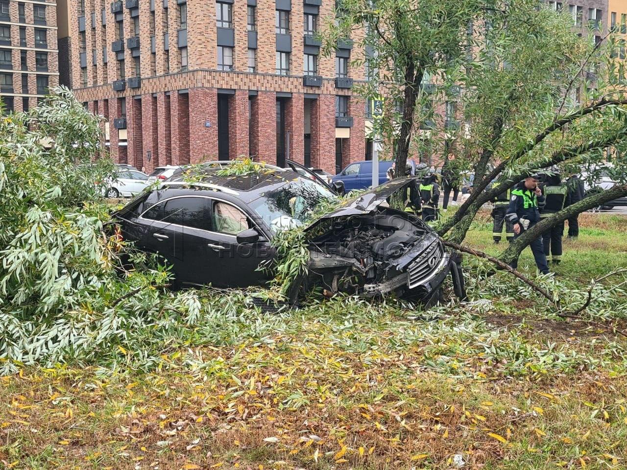 В Москве водитель снес столб и дерево, а потом пошел в барбершоп