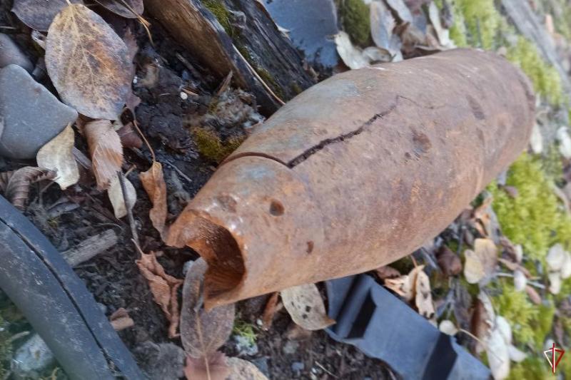 Владелец купленного дома в Ленобласти нашел в нем каски и боеприпасы времен ВОВ