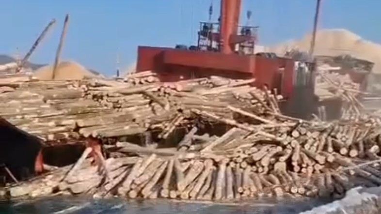 Сухогруз с бревнами едва не утонул в Приморье