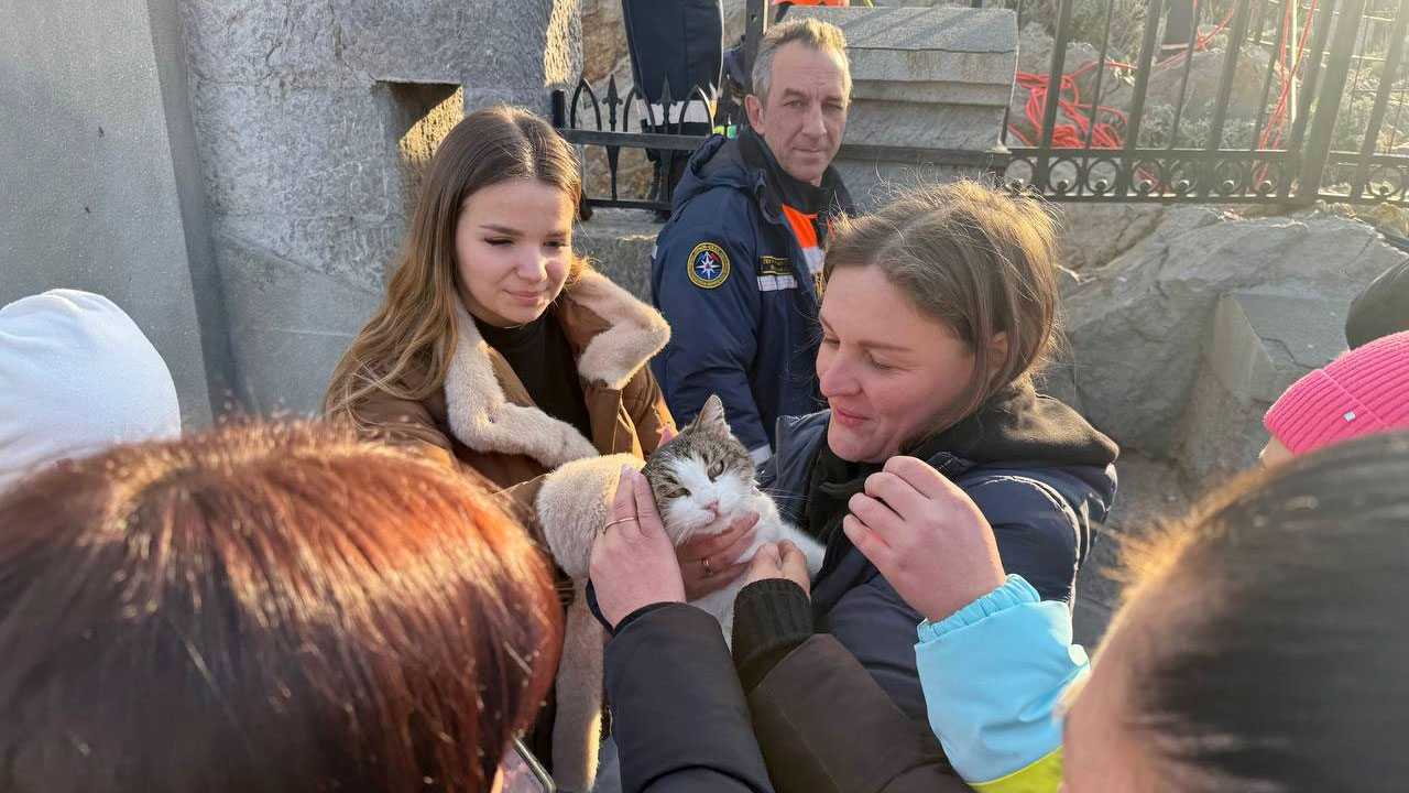 В Ялте решается судьба спасенной кошки Муси с помощью опроса