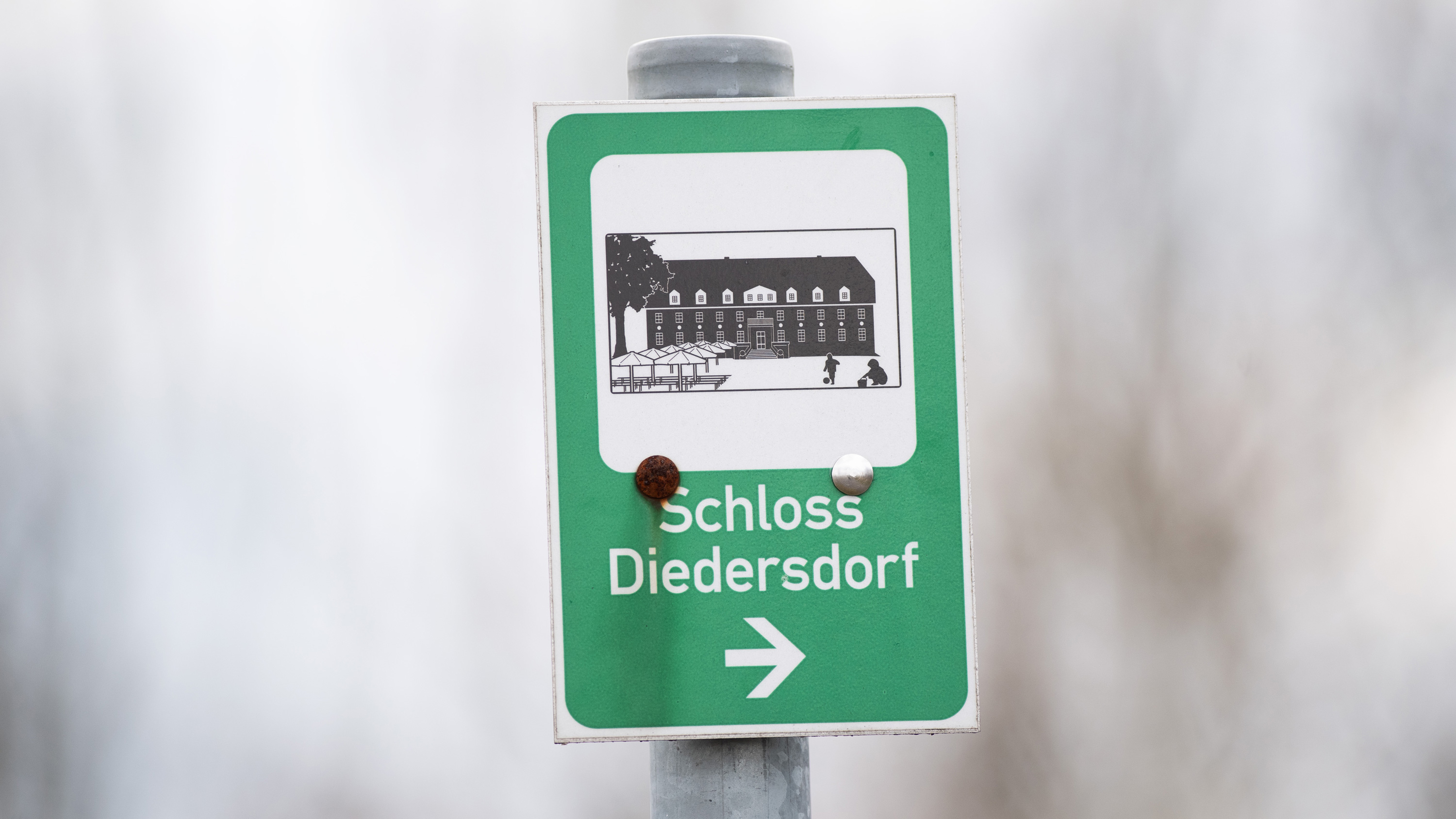 В отеле Schloss Diedersdorf в ФРГ оправдались за приезд "азовцев"