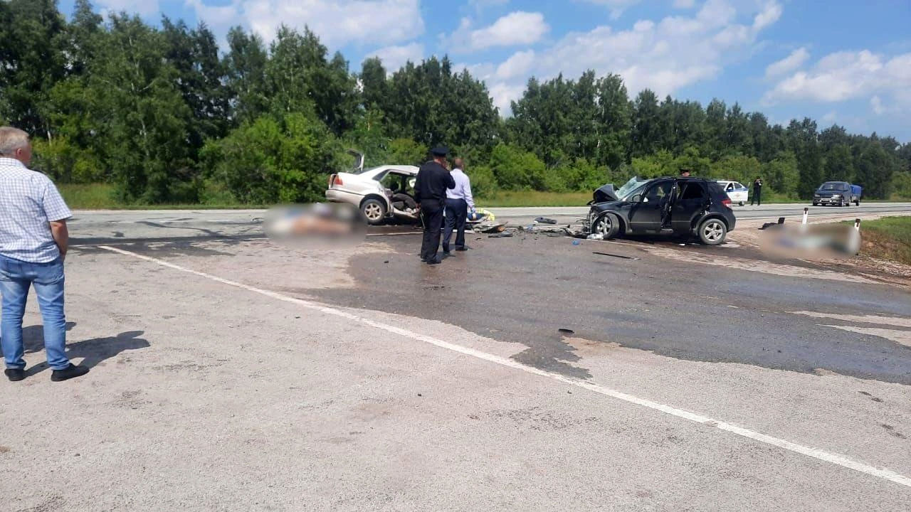 Семь человек погибли в ДТП в Новосибирской области