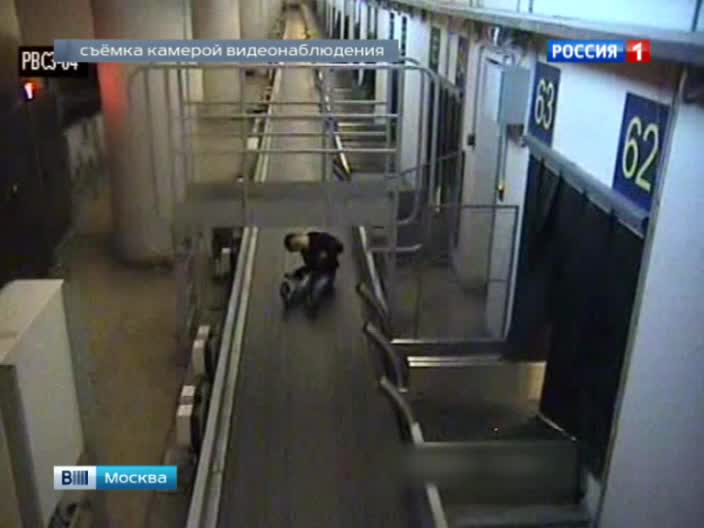 В Шереметьеве 6-летний пассажир едва не улетел под видом багажа