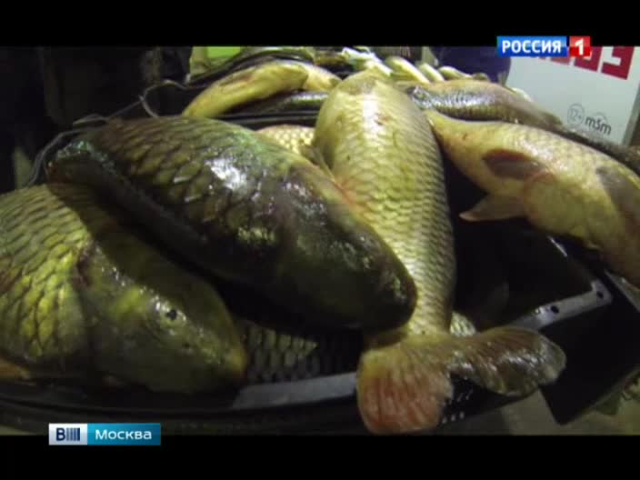 Стихийный рынок в Выхине: торжество антисанитарии
