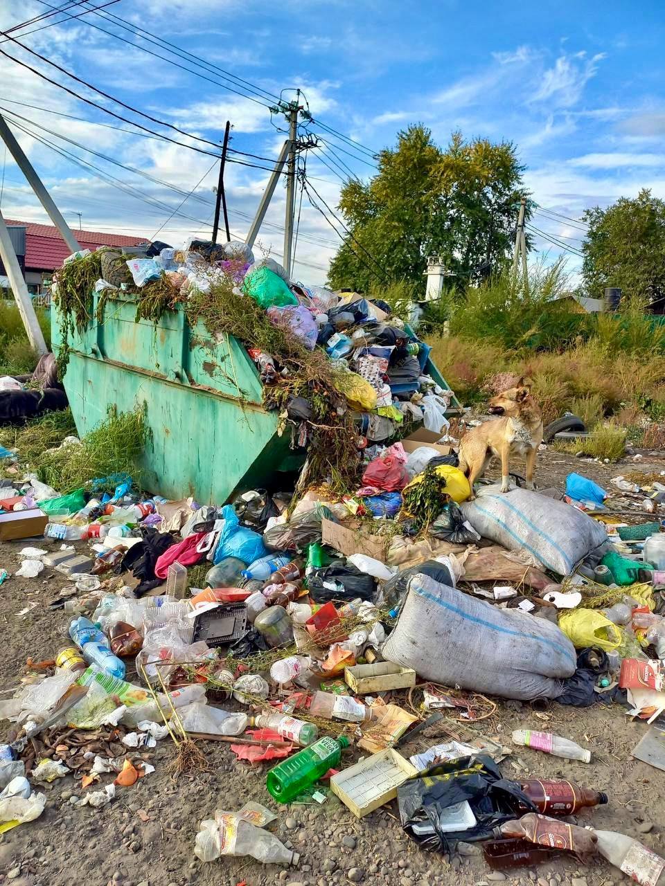 Жители Кызыла пожаловались на заваленные отходами площадки для сбора мусора