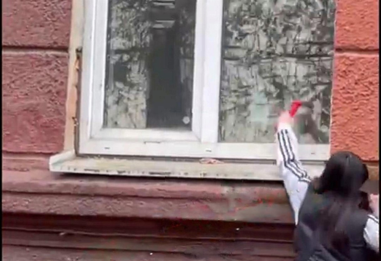 Полиция Ярославля установила личность подростка, разбившего окна больницы