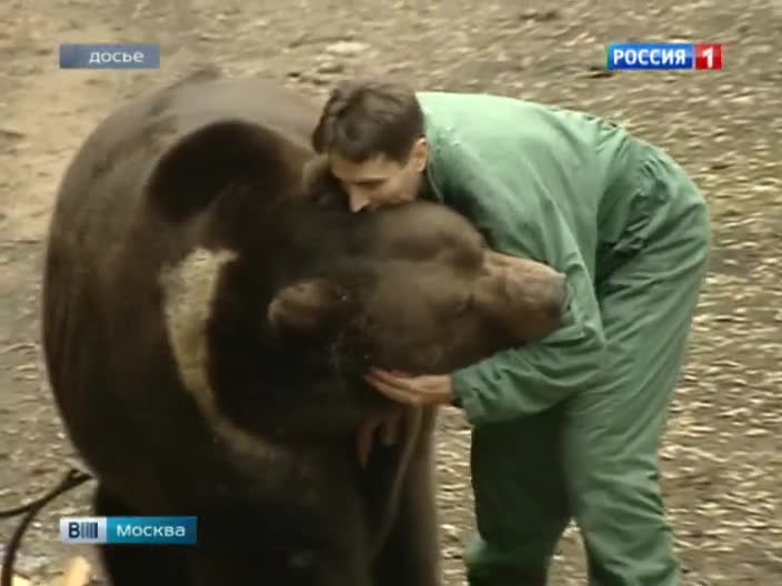 Медведь Малыш ждет помощи