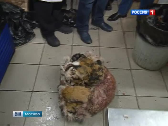 Вьетнамский ресторан в Москве предлагал клиентам мясо тигров и леопардов