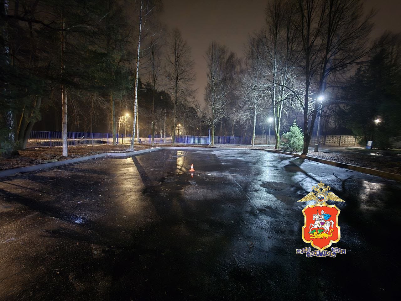 В Пушкине мать на машине насмерть сбила двухлетнюю дочь