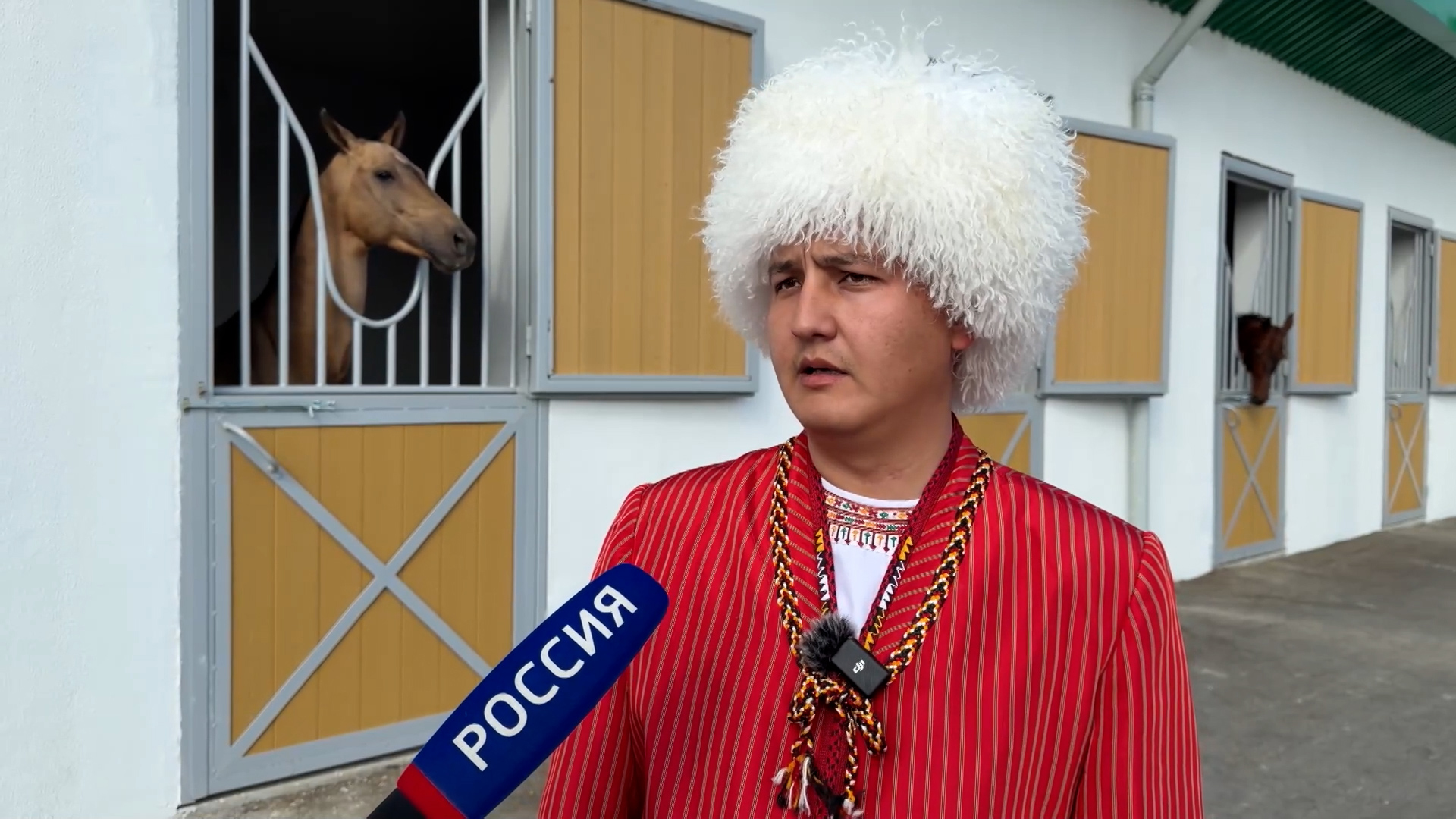 Тренер Сыныков: ахалтекинский конь для туркмена – полноправный член семьи