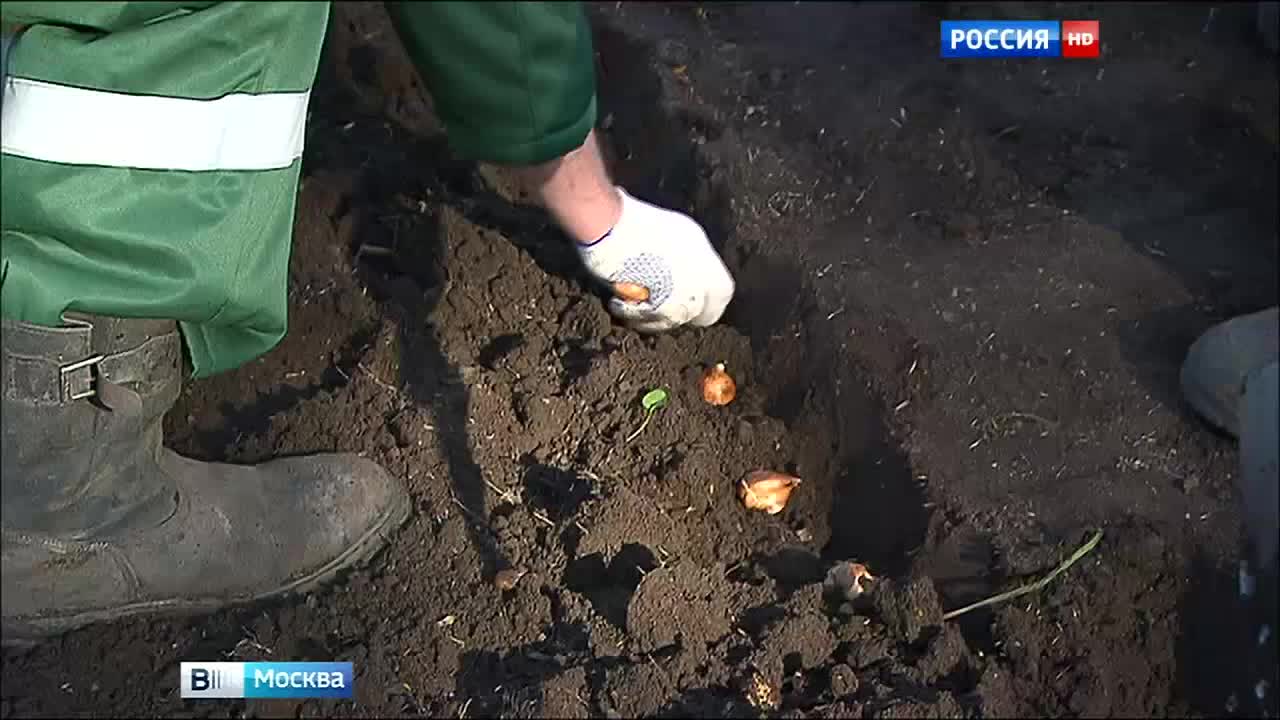 Мосзеленхоз подготавливает цветники к сезону-2016