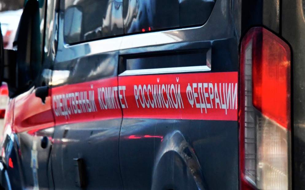 В Дагестане двое несовершеннолетних напали на мальчика-инвалида, возбуждено дело