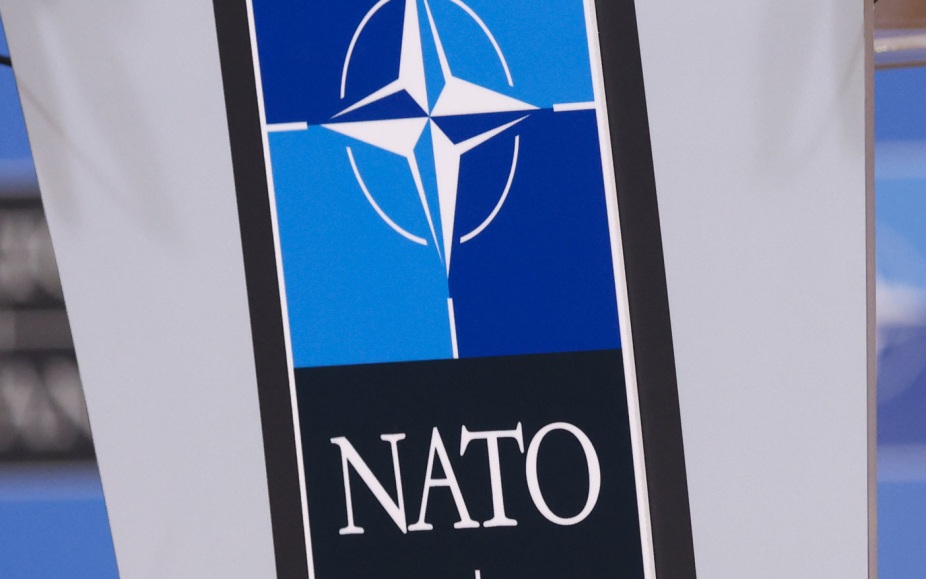НАТО может использовать судно-носитель БПЛА для провокаций против РФ
