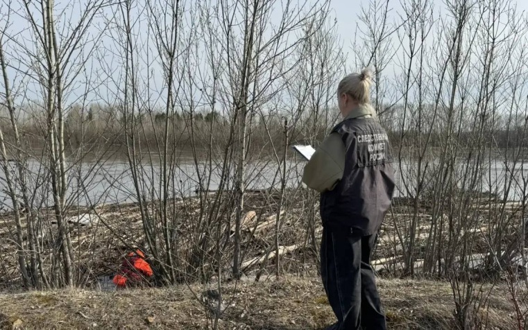 В Красноярском крае прыгавший по бревнам ребенок упал в воду и погиб