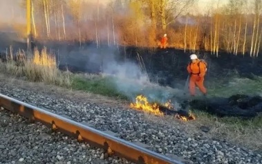 У железной дороги под Псковом ликвидирован крупный пожар