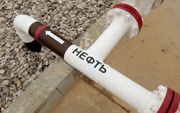 Экономист назвала страны, которые активно интересуются покупкой нефти из РФ