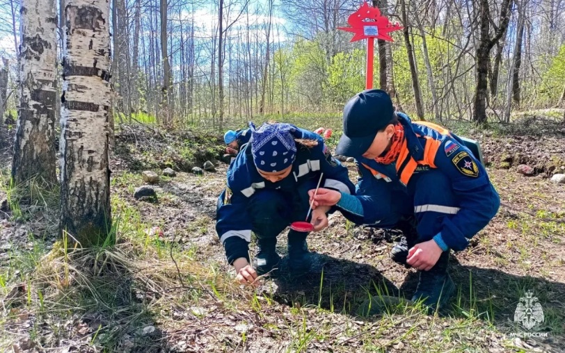 Поисковики Академии МЧС обнаружили останки 29 красноармейцев