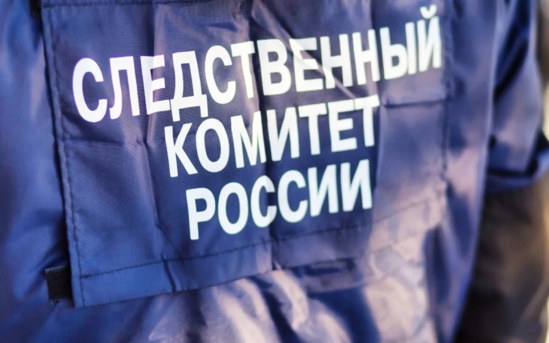 В ЕАО курьер похитил принадлежащие дочери погибшего участника СВО 8 млн рублей