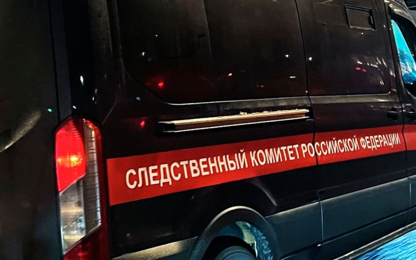 "Единая Россия" просит СК разобраться в нападении цыган под Волгоградом