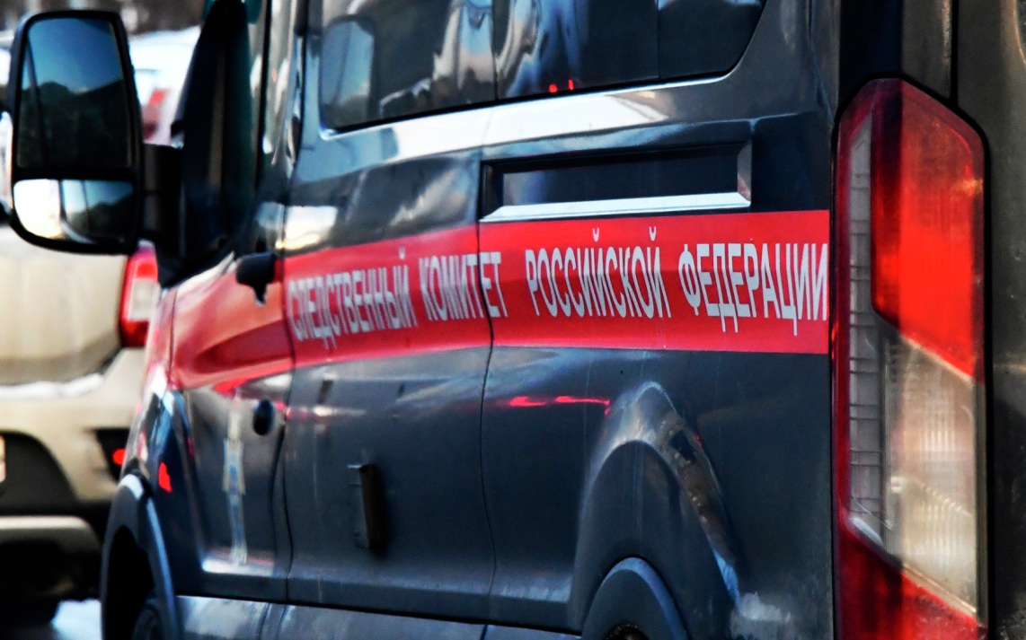В Пермском крае 5-летний ребенок утонул в водоеме, возбуждено дело