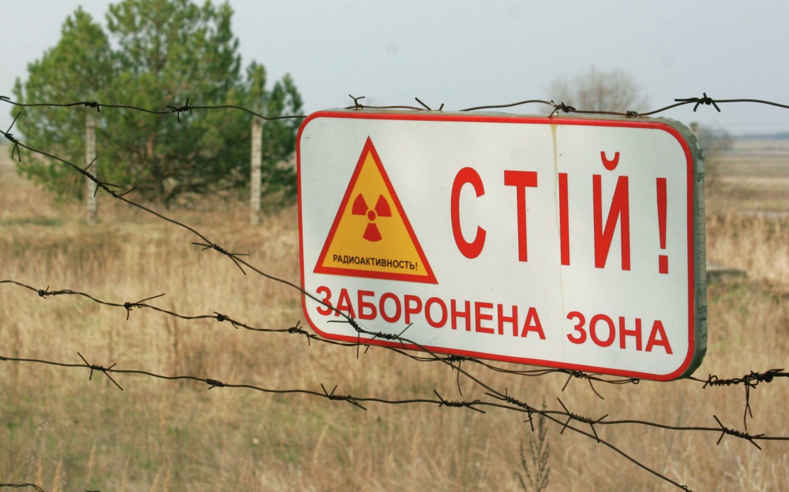 Ученые рассказали о появлении в Чернобыльской зоне отчуждения диких животных