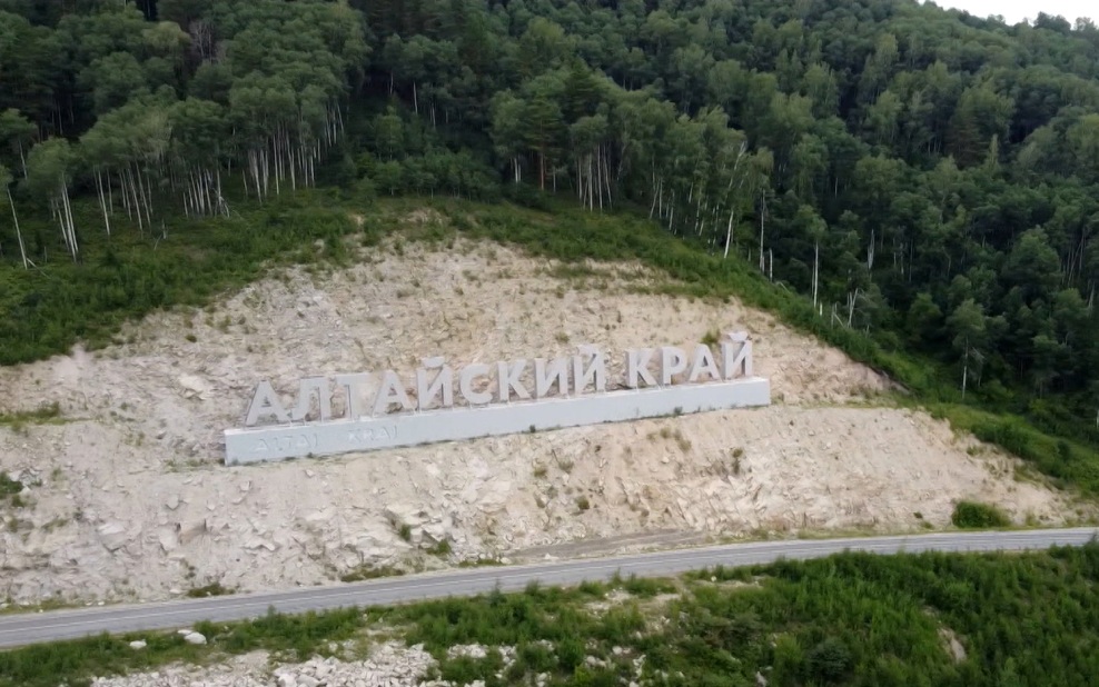 В Алтайском крае для спасения исчезающей кабарги хотят создать нацпарк