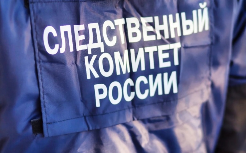 В Тульской области утонул 15-летний подросток, СК начал проверку