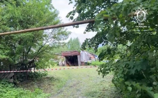 В Тульской области убита женщина, ранены две девочки и их родственница