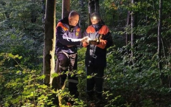 Спасатели ищут двоих детей, потерявшихся в нацпарке "Красноярские столбы"