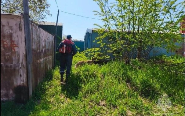 На Камчатке продолжаются поиски пропавшей пенсионерки