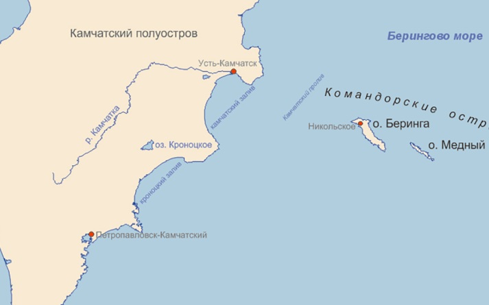 Землетрясение магнитудой 6,0 произошло у Командорских островов