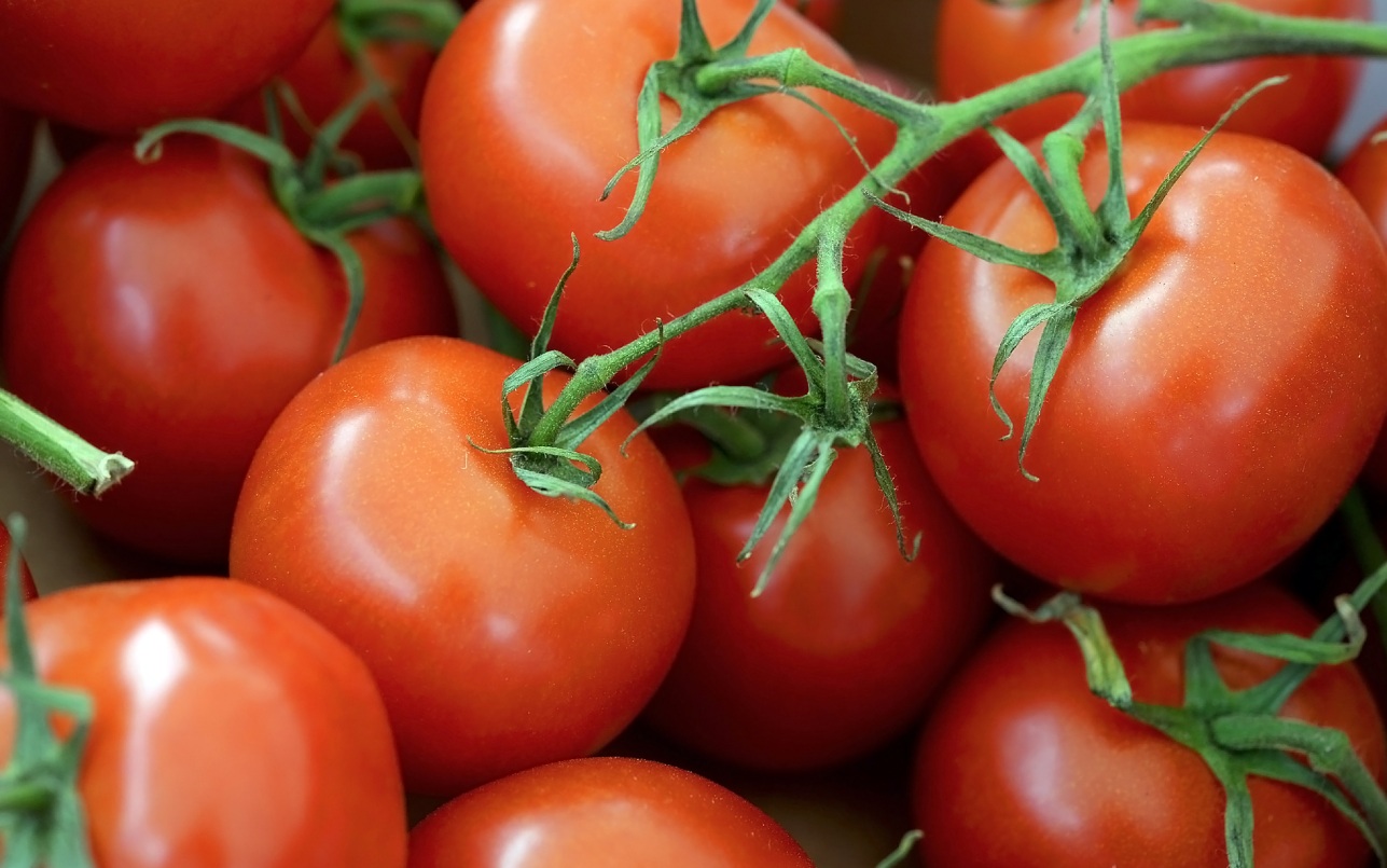 Россельхознадзор ограничивает ввоз и транзит подкарантинной продукции из Армении