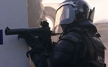 В Белфасте вывели дополнительные силы полиции после погромов