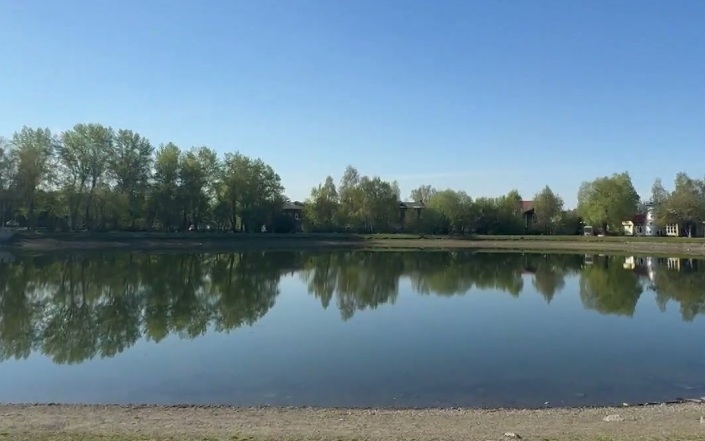 В каких условиях можно заразиться "зудом купальщика"