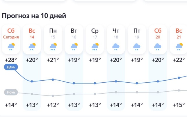 Московский регион ожидает целая неделя дождей
