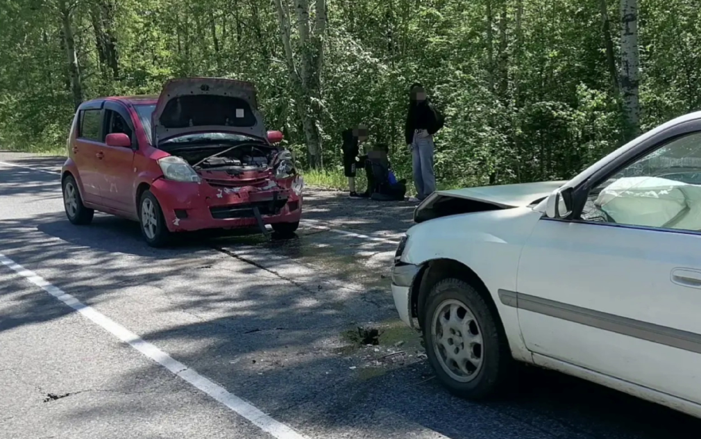 Трое детей и двое взрослых пострадали в ДТП под Хабаровском из-за собаки