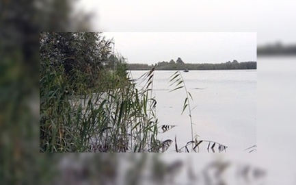 В Коми продолжают поиски унесенной течением реки Сысолы девушки