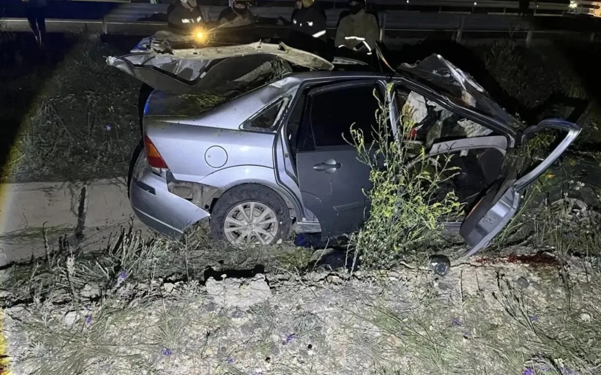 В Оренбургской области два человека погибли и двое пострадали в ДТП с лошадью