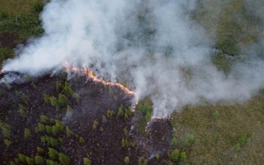 Лесные пожары в Хабаровском крае охватили более 1,3 тыс. га