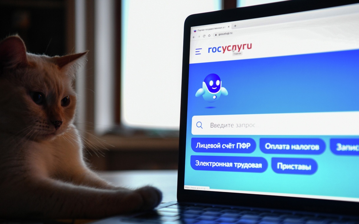 Эксперт Щельцин рассказал о тенденции развития социальных услуг в РФ