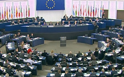 В Европарламенте разорвали флаг УПА