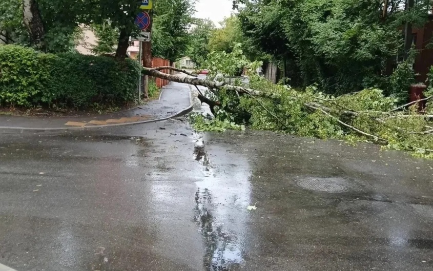 Очевидцы о шторме под Калининградом: ночевали, словно на маяке в бурю