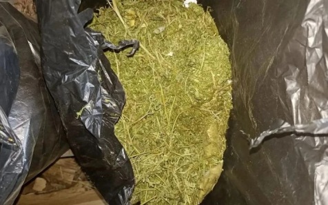 Полицейские у жителя Приморья изъяли более 1 кг марихуаны