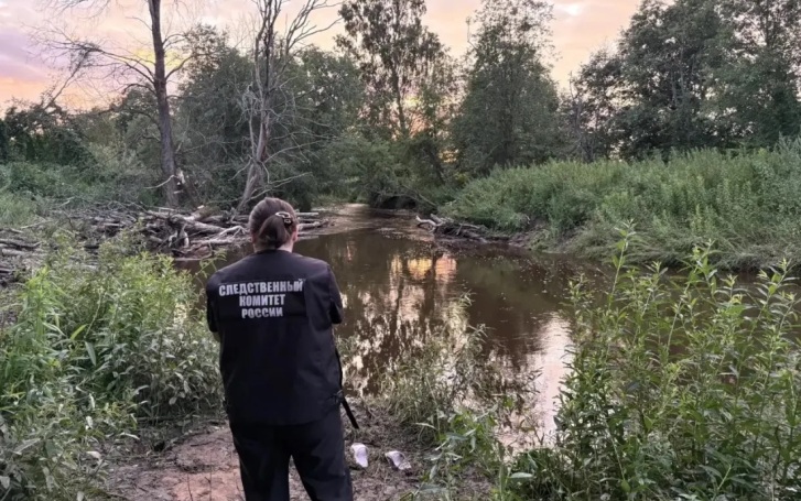 Женщина и ребенок утонули в реке в Новгородской области