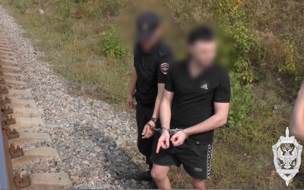 Двое жителей Запорожской области осуждены за попытку подрыва железной дороги