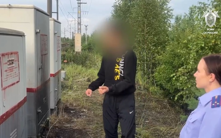 На Урале подростку предъявили обвинение в совершении диверсии на железной дороге