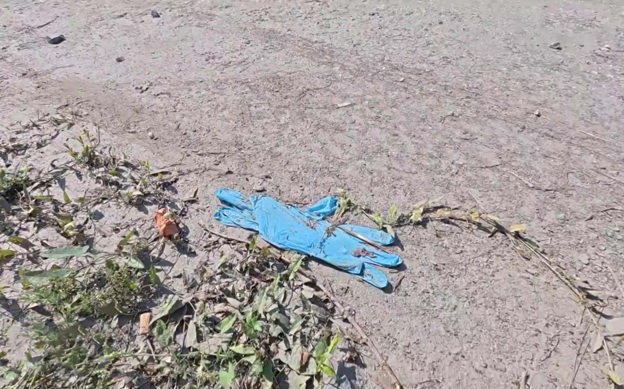 В Новосибирске возбуждено уголовное дело после нападения собаки на фельдшера
