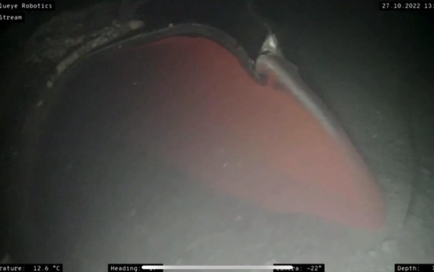 В ФРГ предположили, по чьему указанию совершена диверсия на "Северных потоках"