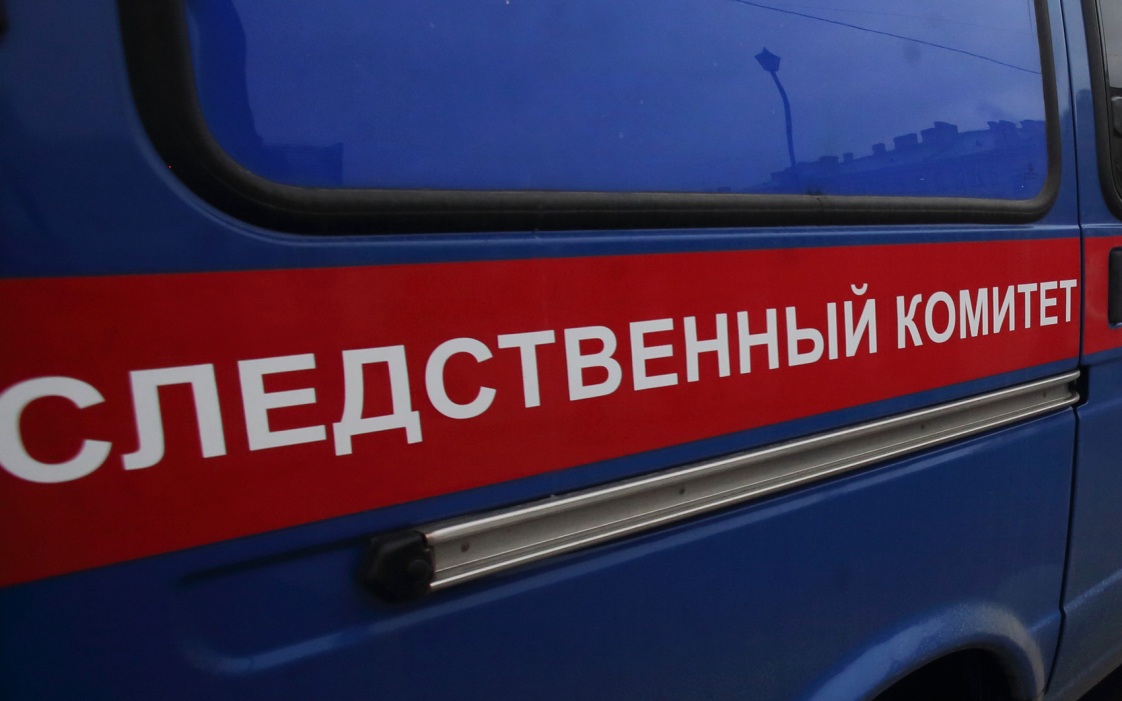 Инфекционное заболевание выявлено у детей в лагере в Новосибирской области