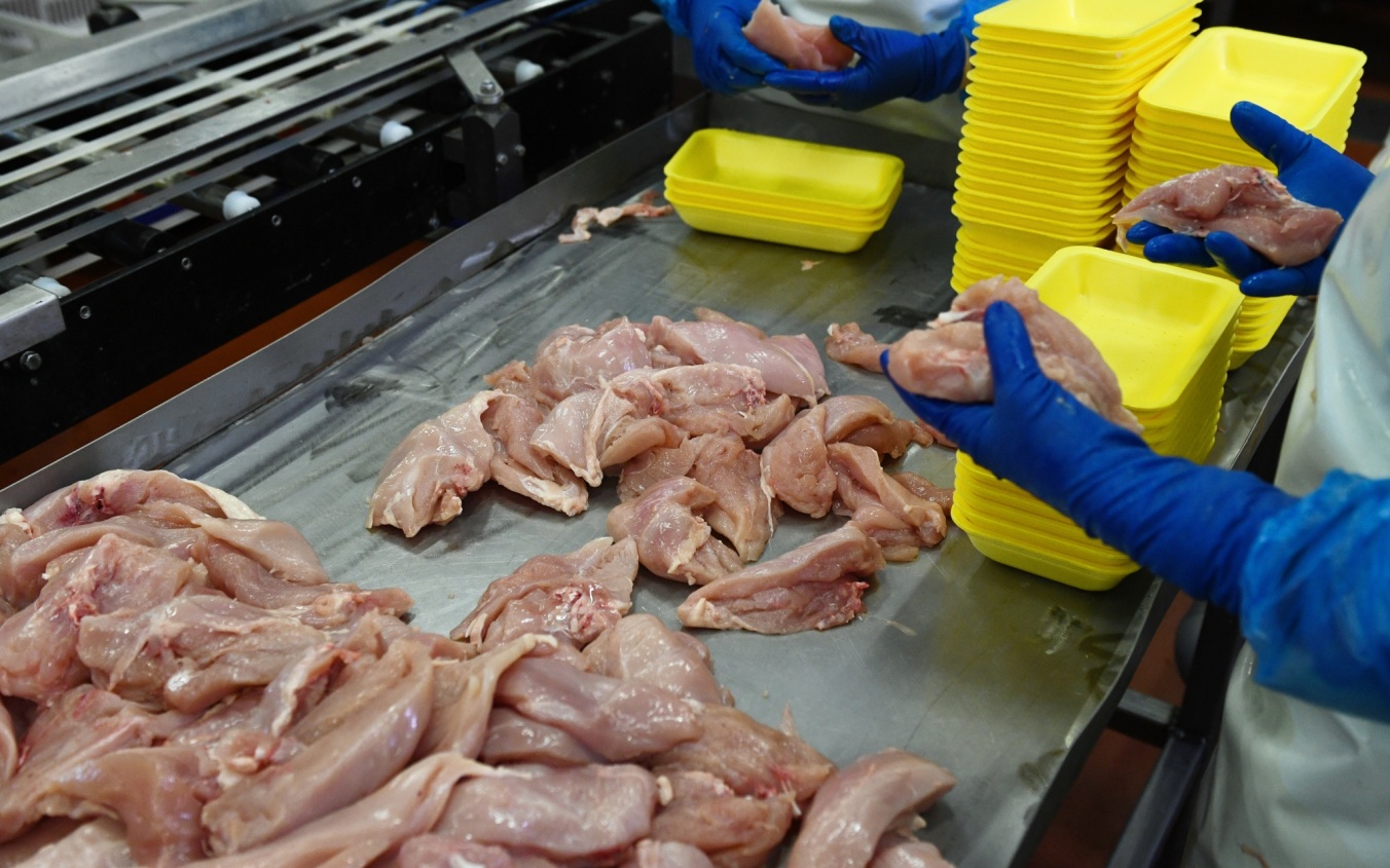В России с 1 августа введена обязательная маркировка мясной продукции